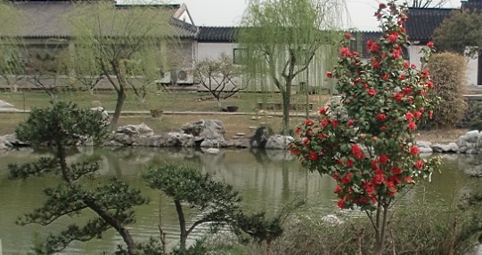 未命名.jpg