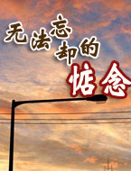 20090413035627.jpg