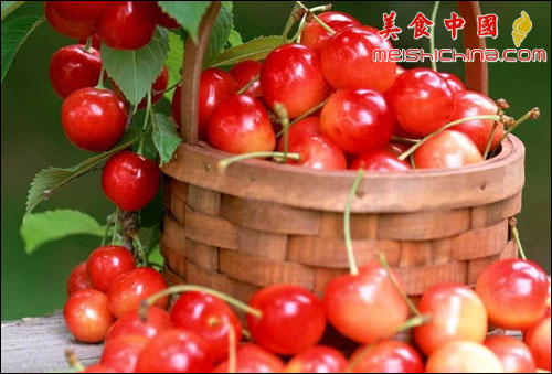 20050418182958350.jpg