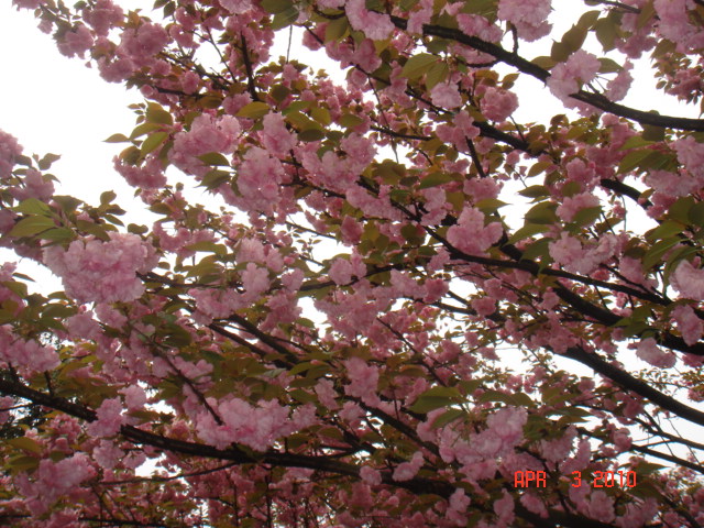 DSC07751.JPG