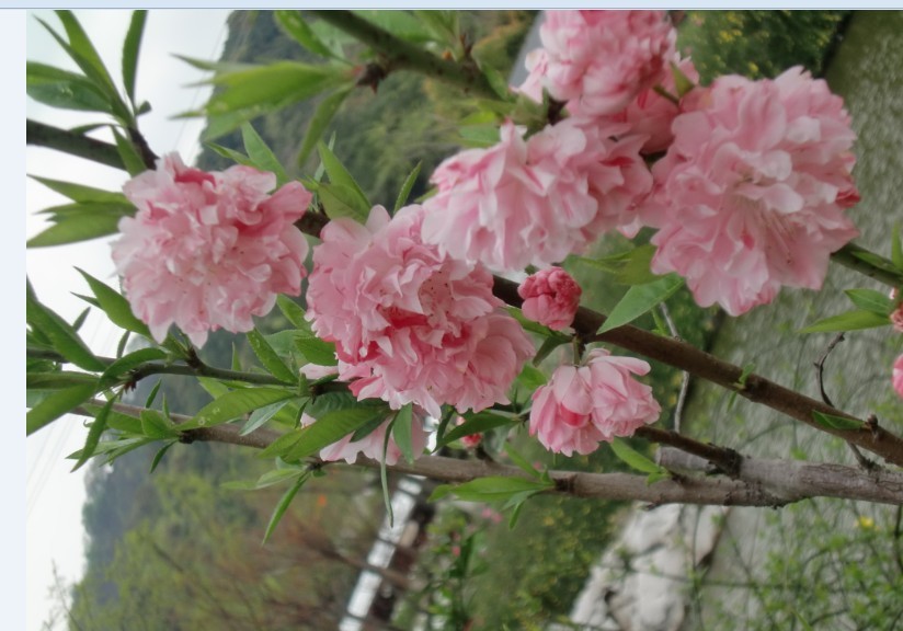 未命名.jpg