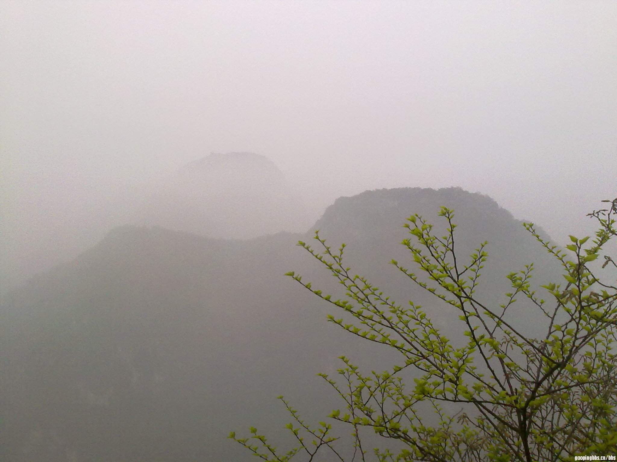 20110406376.jpg