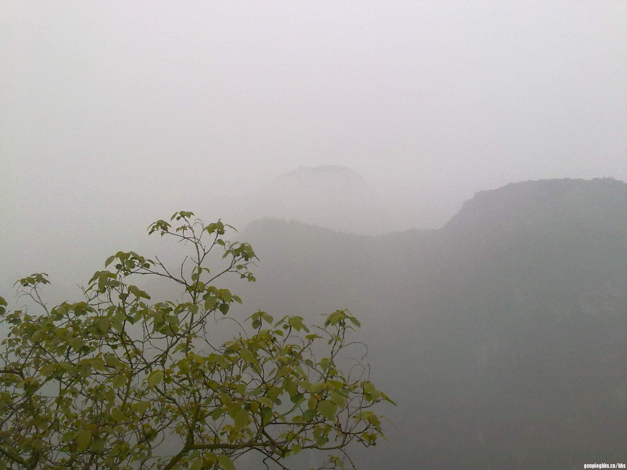 20110406377.jpg