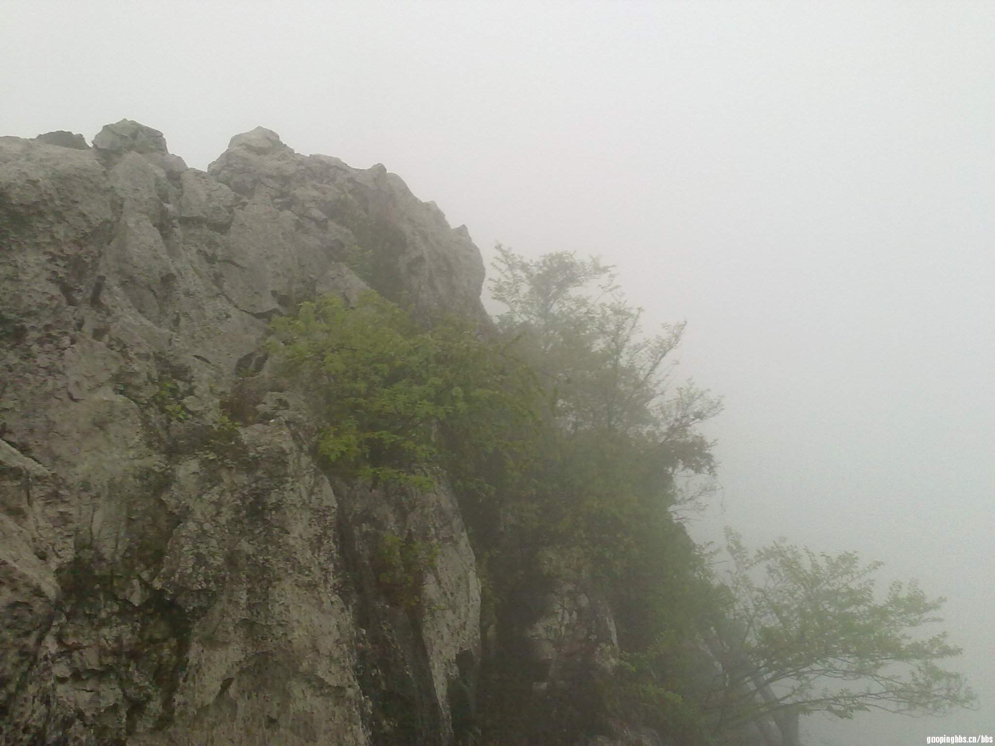 20110407382.jpg