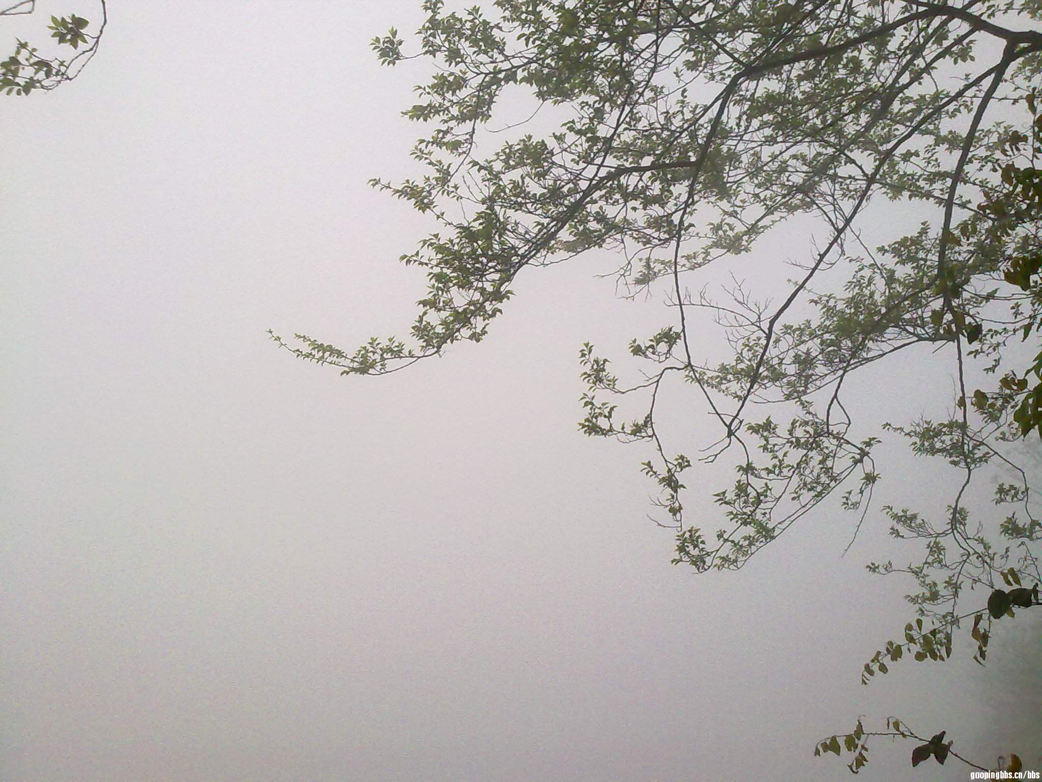 20110407388.jpg