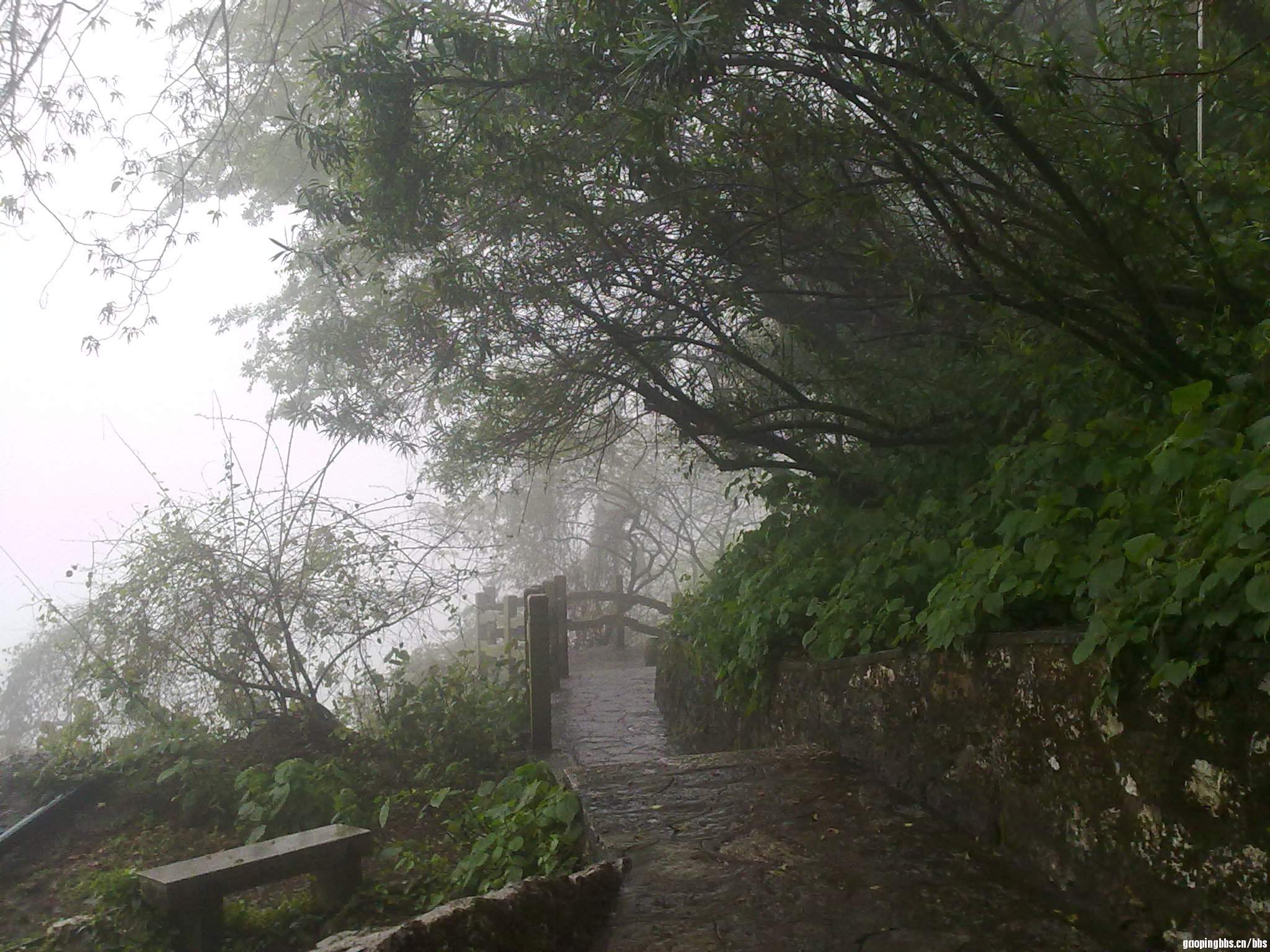 20110407391.jpg