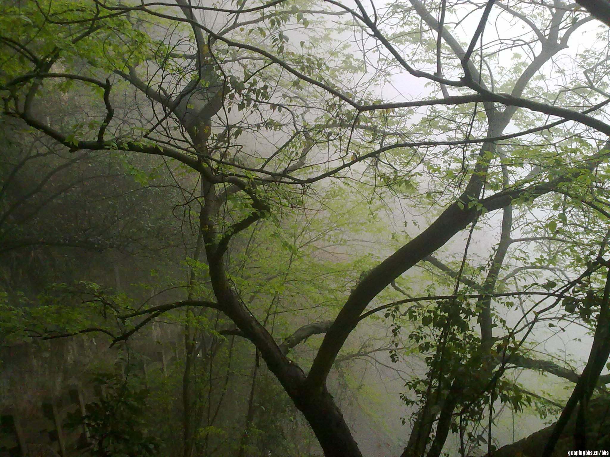 20110407389.jpg