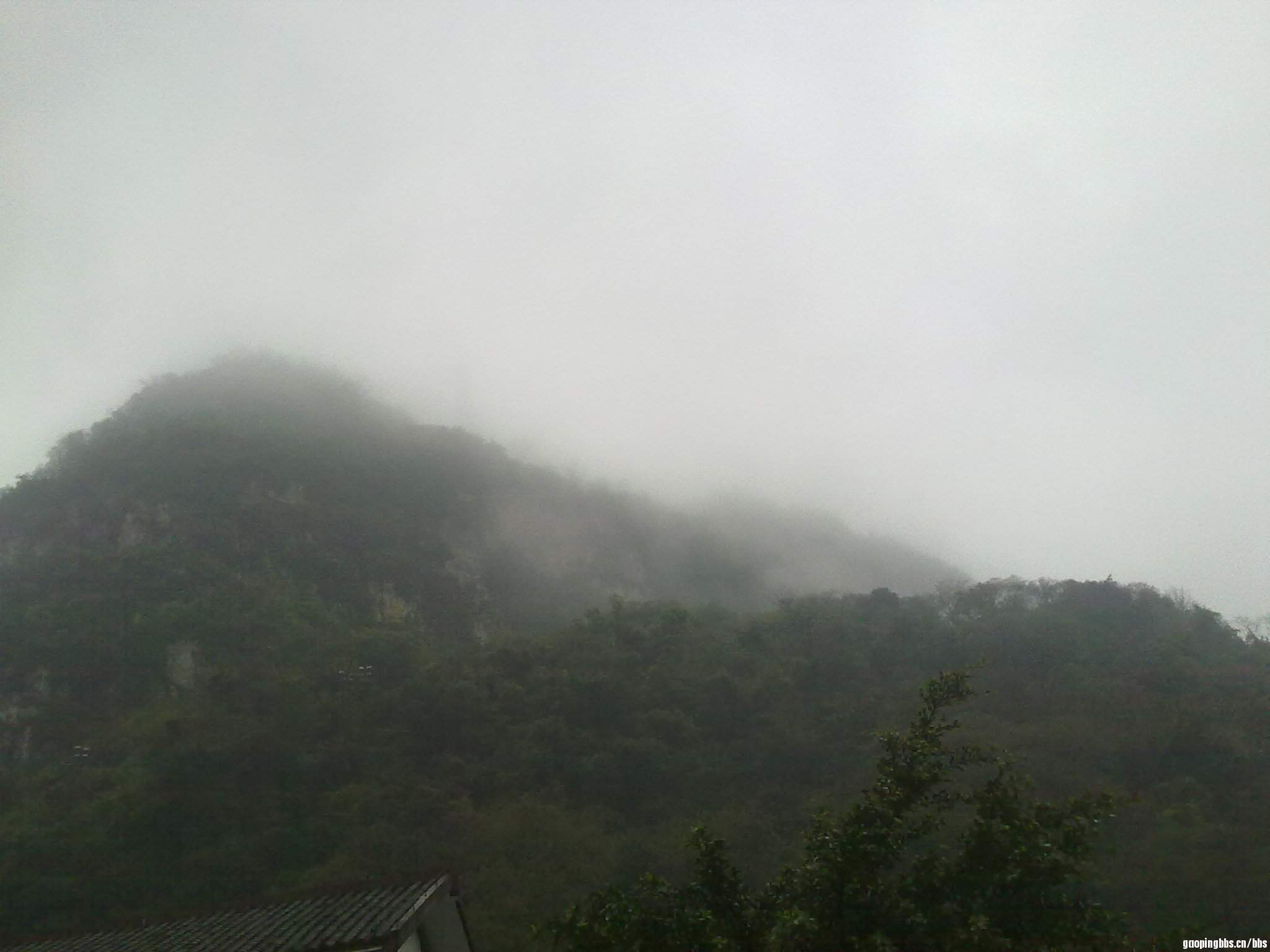20110407392.jpg