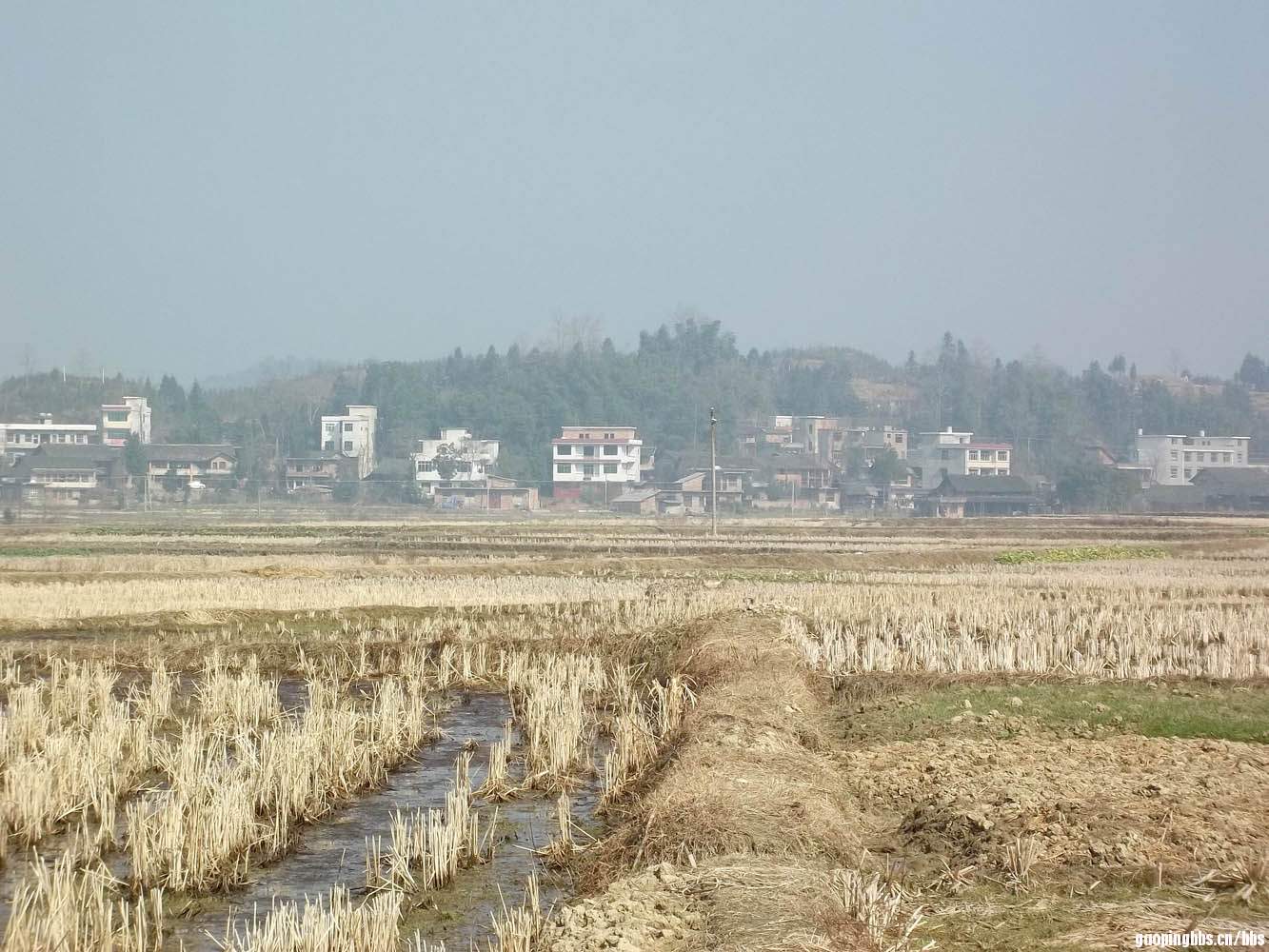 小坳村.JPG