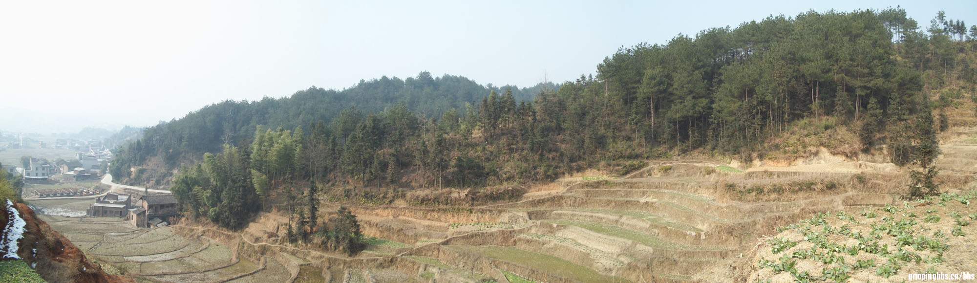 高坪老家后面
