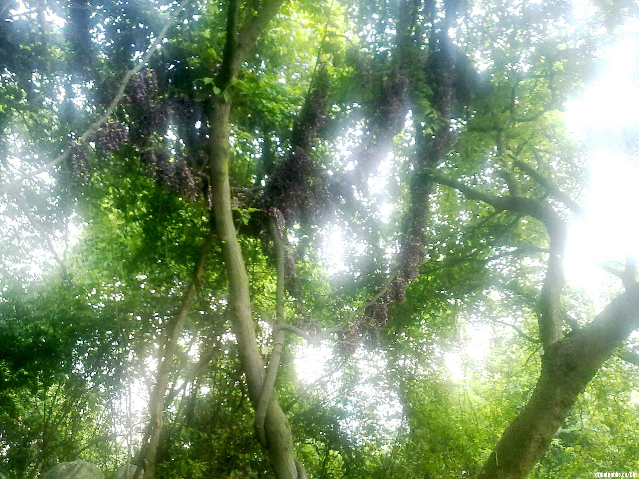 20110418396.jpg