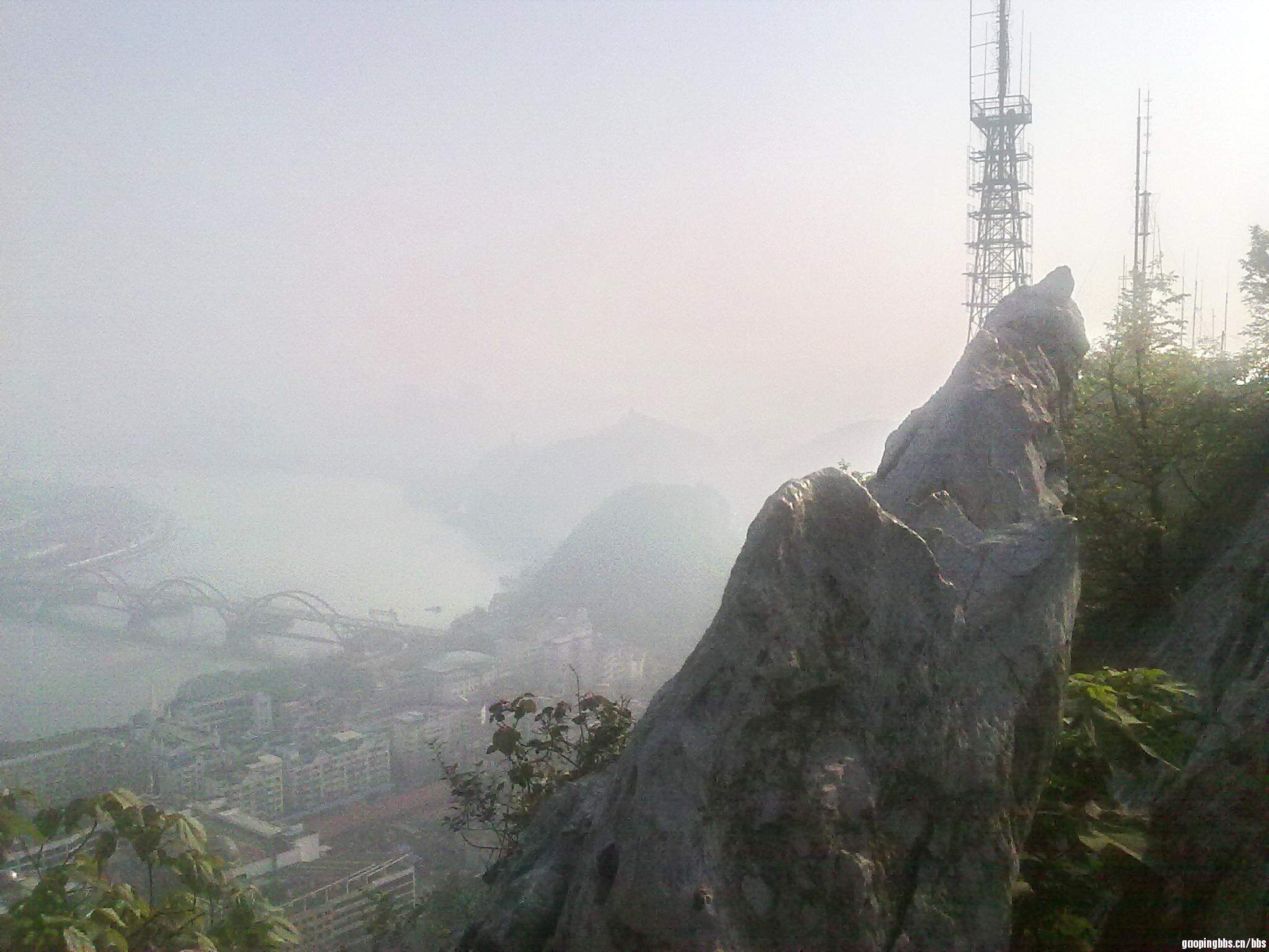 20110418403.jpg