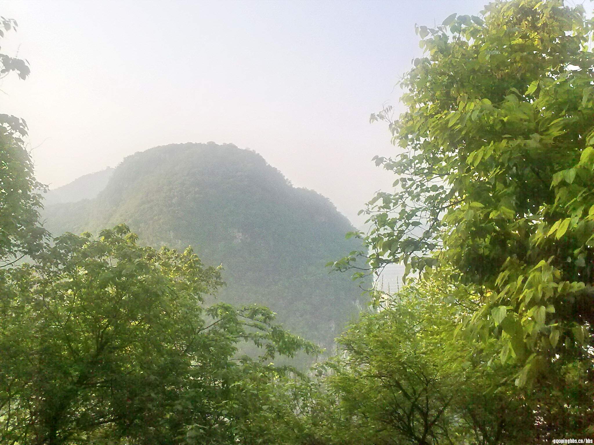 20110418402.jpg