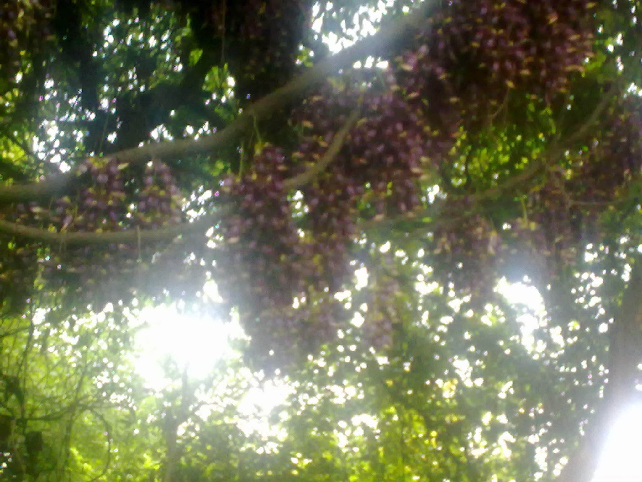 20110418404.jpg