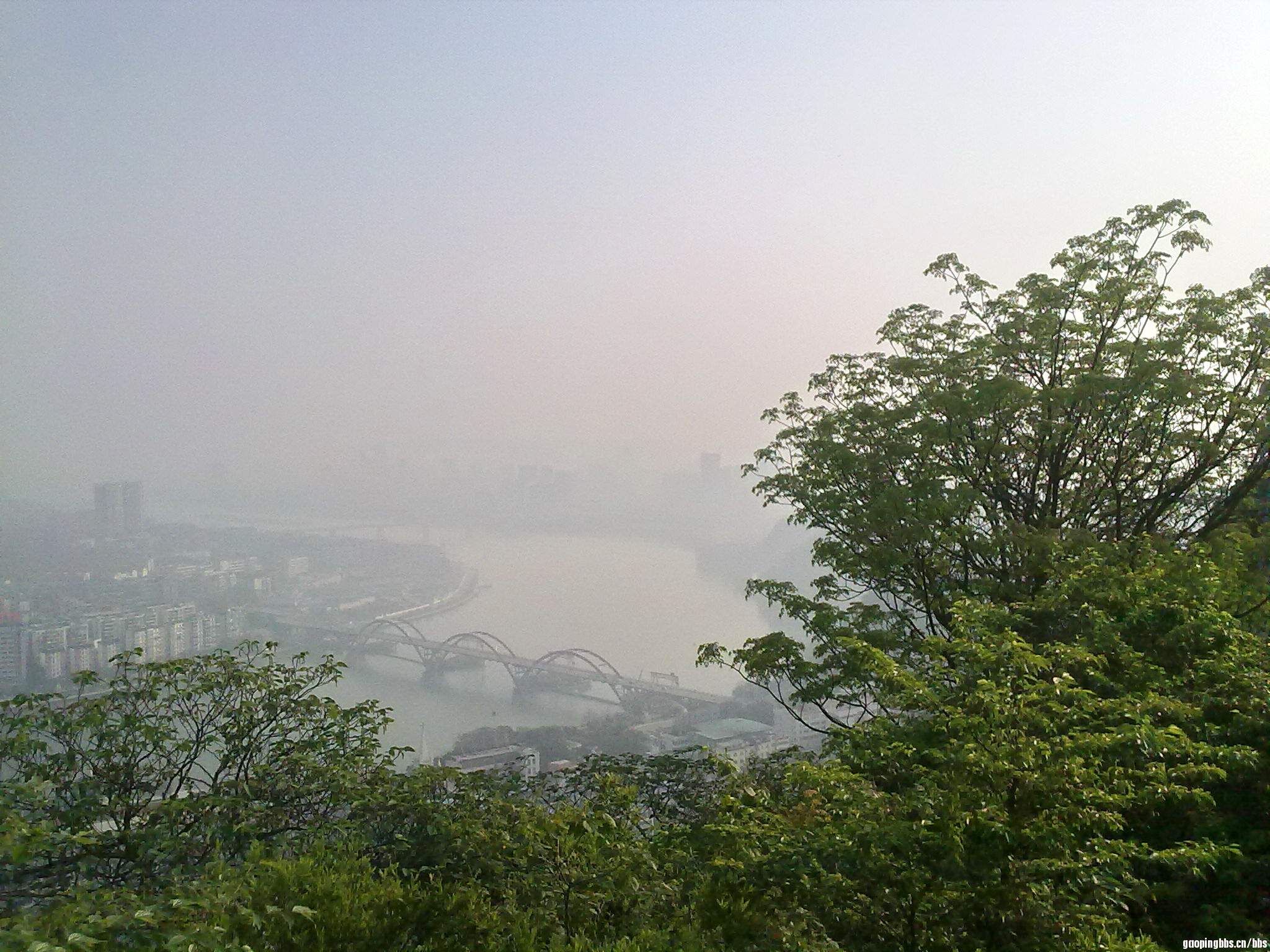 20110419410.jpg