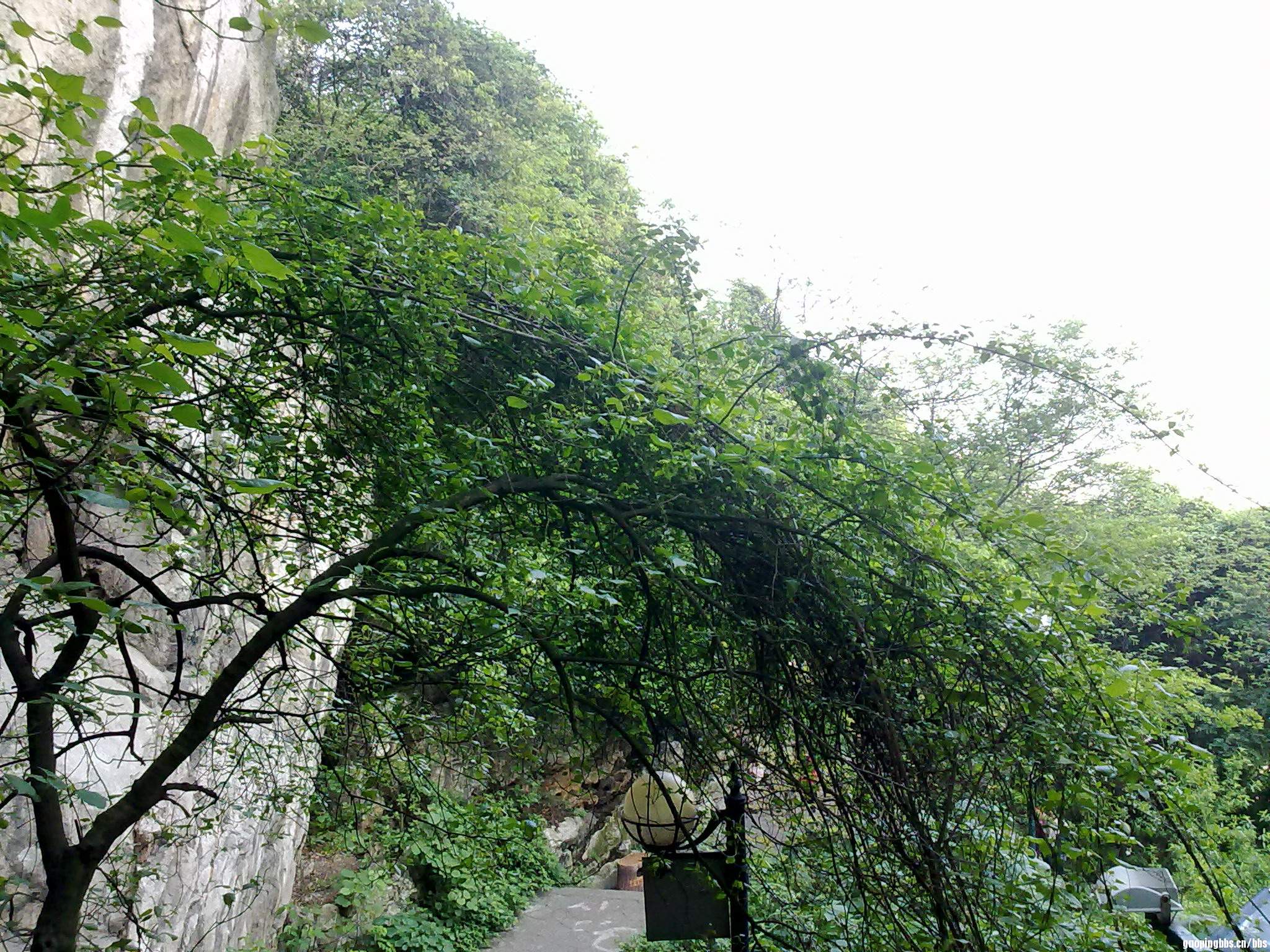 20110419417.jpg