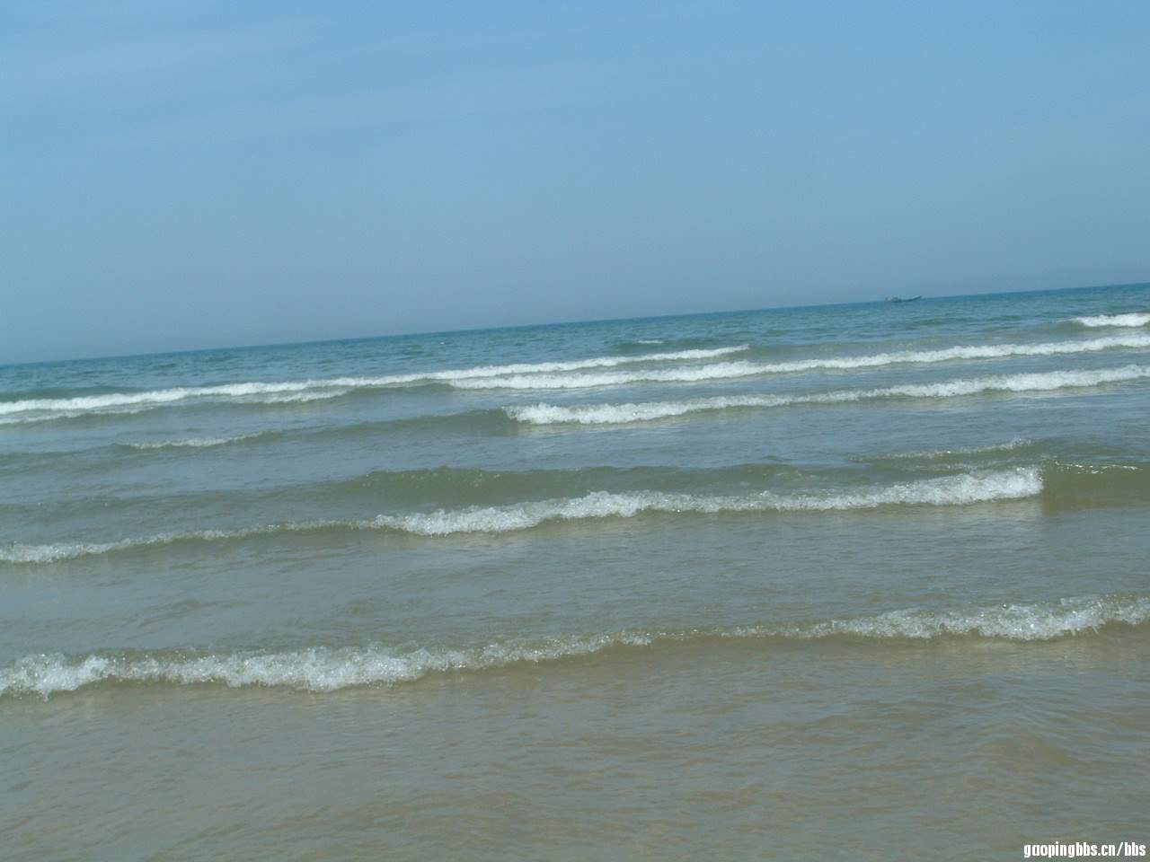 DSCF0504.JPG