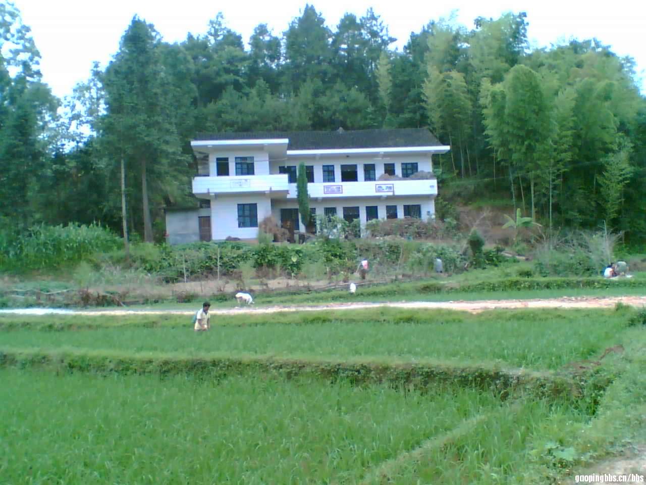 不知道.jpg