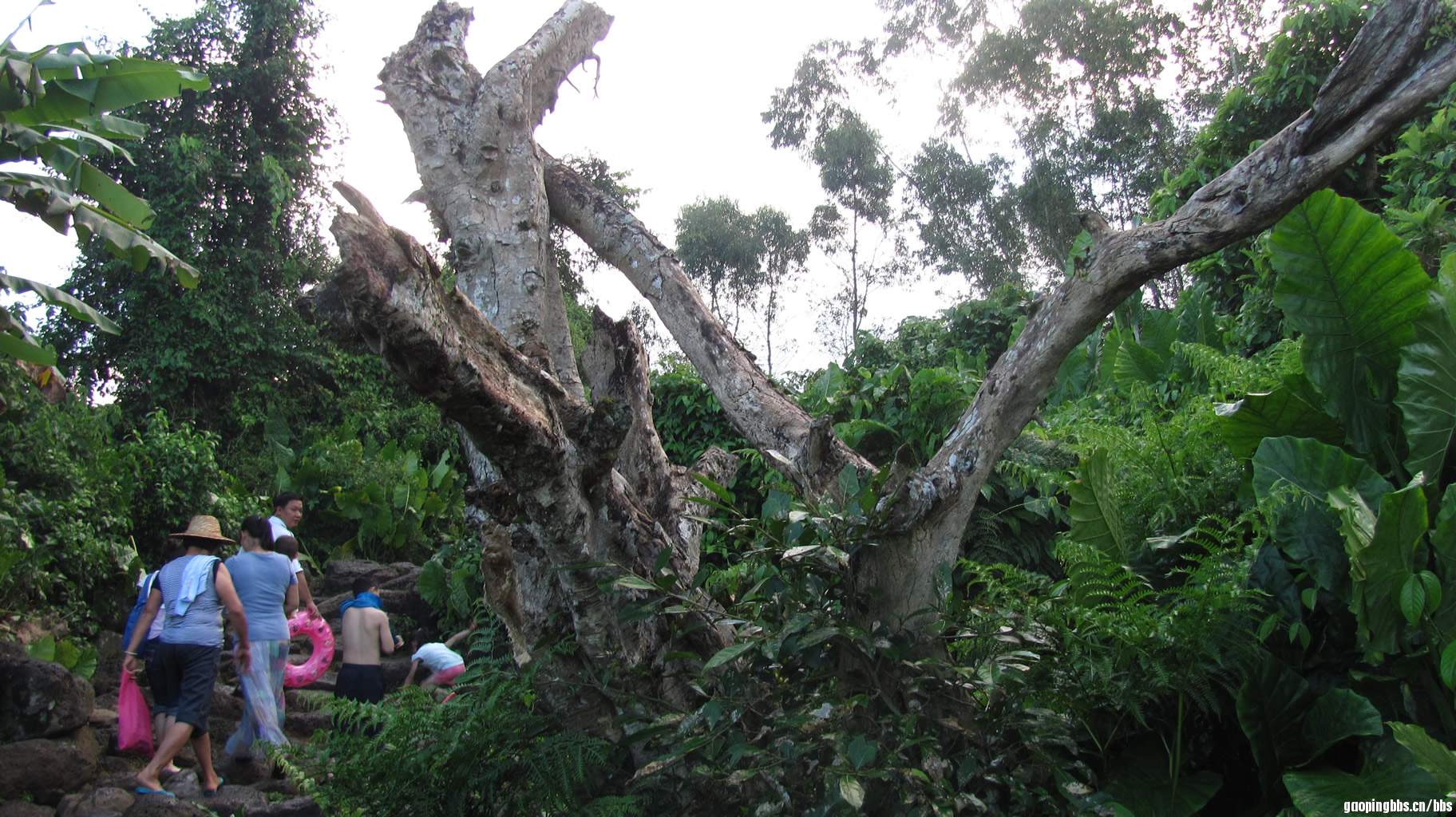 IMG_3105.jpg
